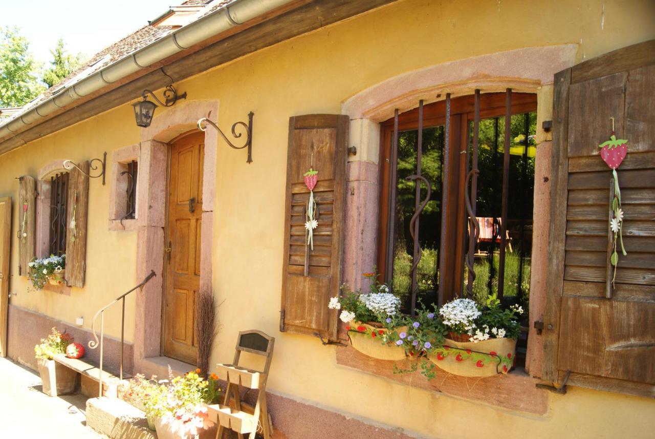 Gite Du Thalala Bernardvillé Exterior foto